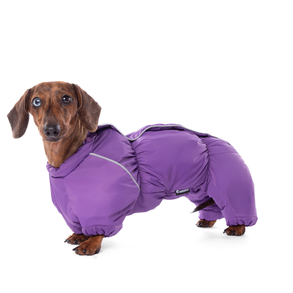 Гамма 12212018 Комбинезон зимний "Такса" 41см