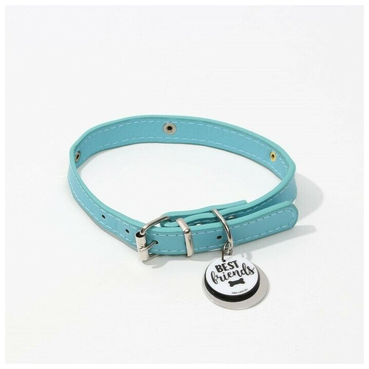 Ошейник для собак «Best friends» с адресником, ОШ 27-34 см