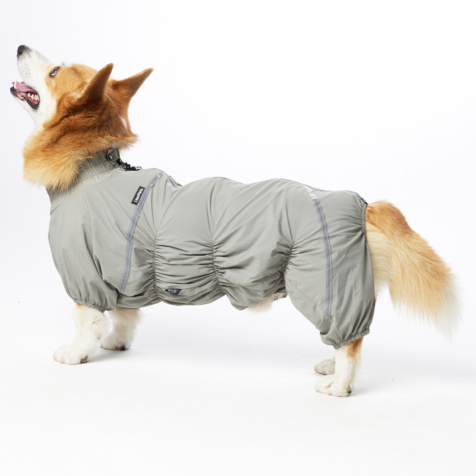 Дождевик LionPets Корги LPK-9125-133 на мальчика Цвет: Шалфей (мальчик Размер 1 (спинка 50, обхват шеи 40-50, обхват груди 50-62))
