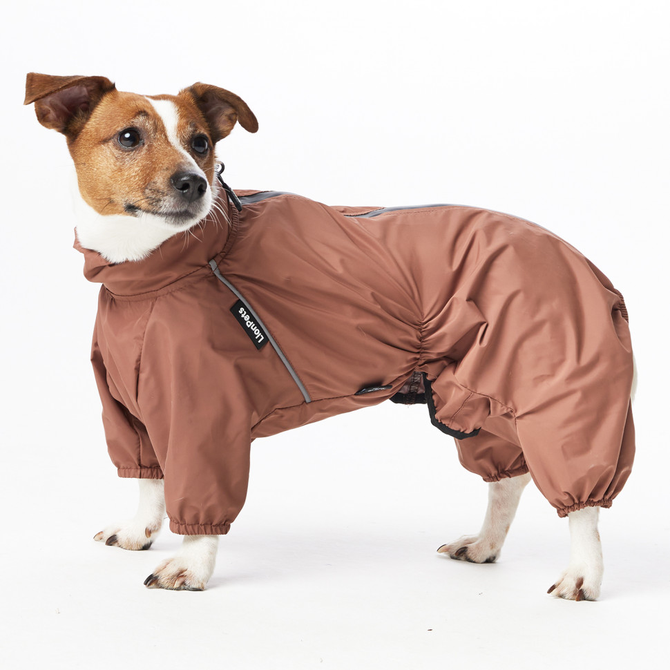 Дождевик LionPets ДЖЕК РАССЕЛ LPK-9225-128 на мальчика Цвет: Шоколадный