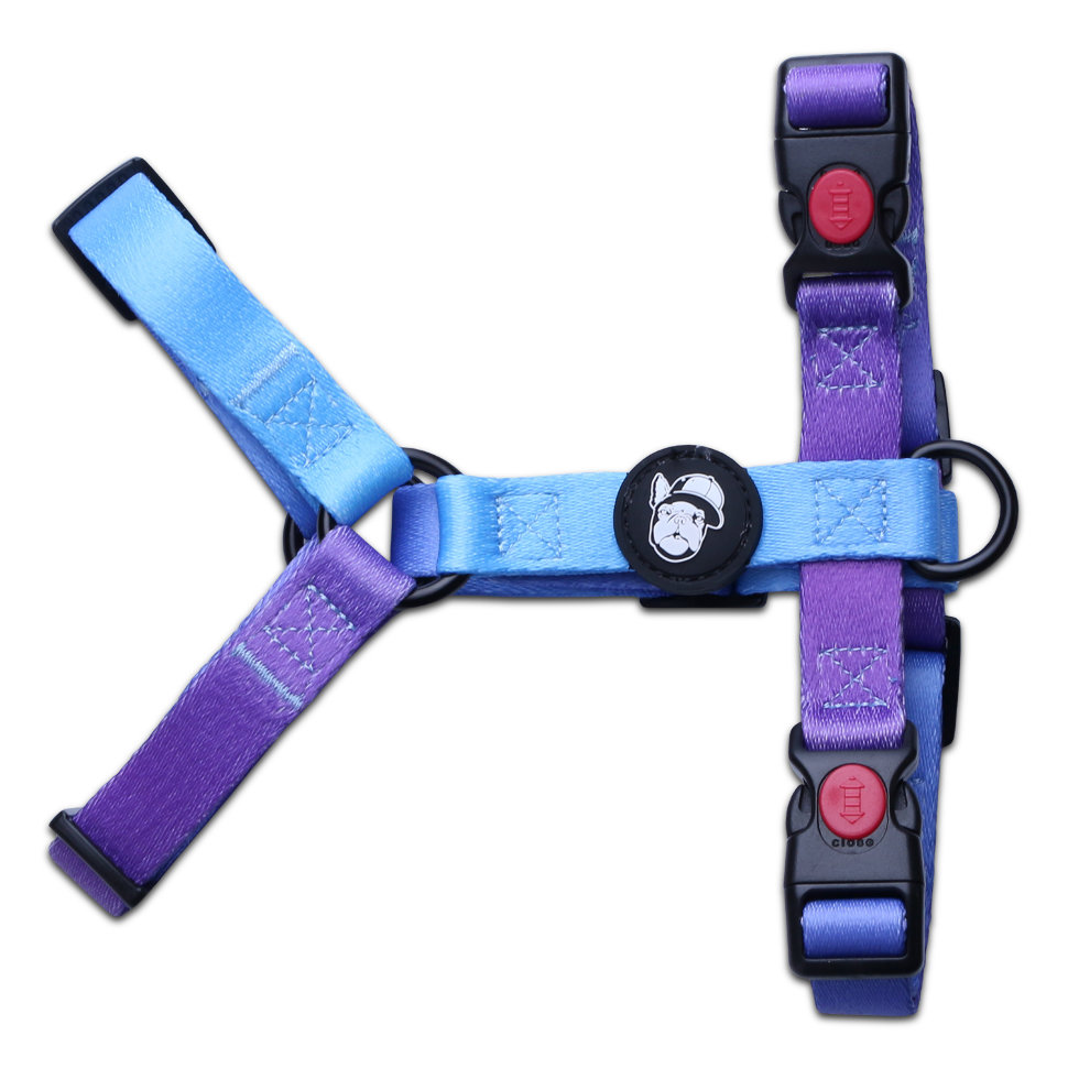 Шлейка LionPets LP23-6 (Размер S обхват груди 28-40 см, шея 24-32 см)