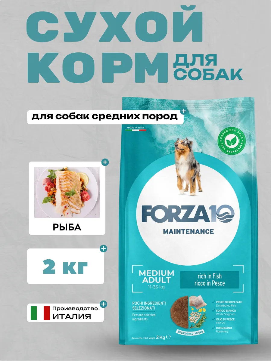 Forza10 Maintenance Medium Adult  Сухой корм для собак средних пород с рыбой 2кг