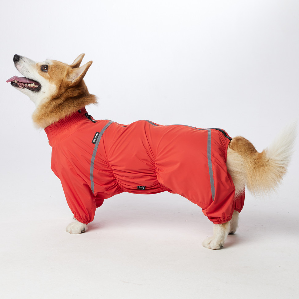 Дождевик LionPets Корги LPK-9125-29 на девочку Цвет: Оранжевый (девочка Размер 2 (спинка 50, обхват шеи 36-47, обхват груди 60-78))