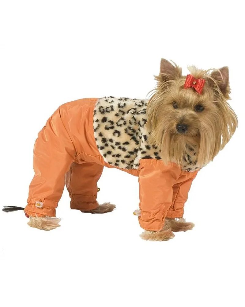 Тузик ош 29 ог 48 от 42 дс 37 рост 39 комбинезон теплый с мехом зима - 1 для породы китайская хохлатая кобель 5611