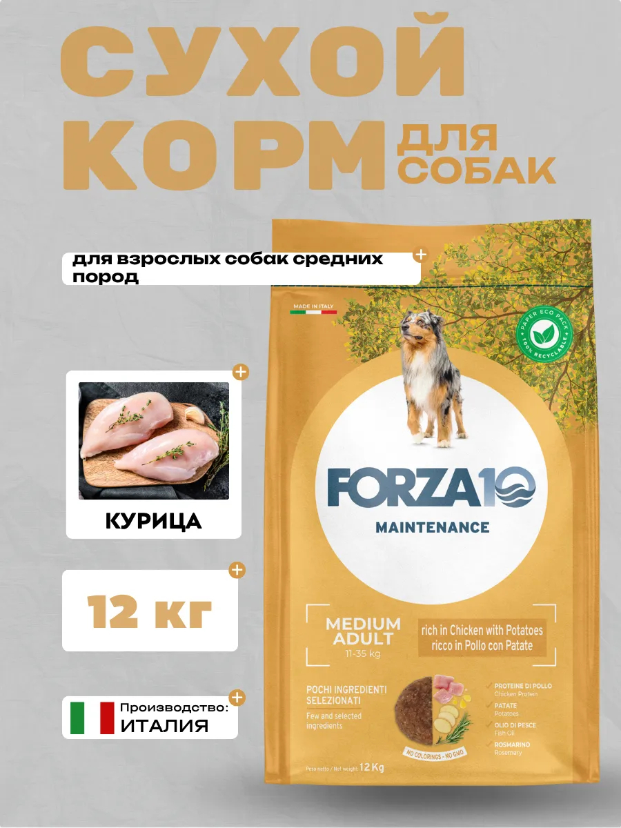 Forza10 Maintenance Medium Adult  Сухой корм для собак средних пород с курицей 12 кг