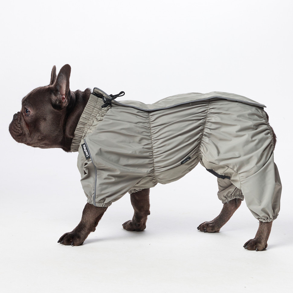 Дождевик LionPets Французский бульдог LPK9025-133 на мальчика Цвет: Шалфей (мальчик (спинка 41 см, обхват шеи 40-54 , обхват груди 42-63 см))