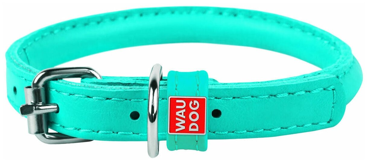 Ошейник для собак WAUDOG Glamour, с QR-паспортом, кожаный, с узором "Звездочка", светящийся (XS, 12мм, 19-25см, ментоловый)