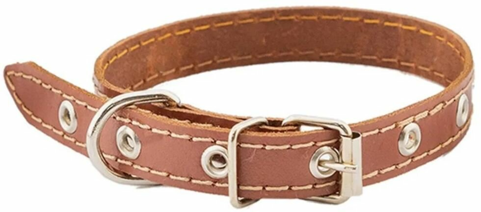 HOMEPET 15 мм 28-38 см ошейник для собак кожаный простой простроченный коричневый