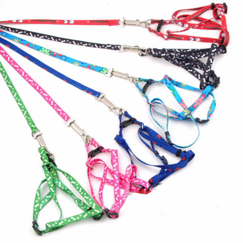 Шлейка+поводок "Эконом" 2,0 см, (для средних пород) разноцвет