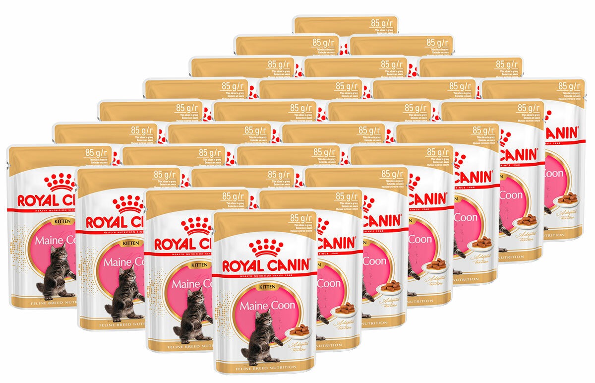 Влажный корм Royal Canin Maine Coon Kitten для котят мейн-кунов до 15 мес. мелкие кусочки в соусе 85гр-28шт