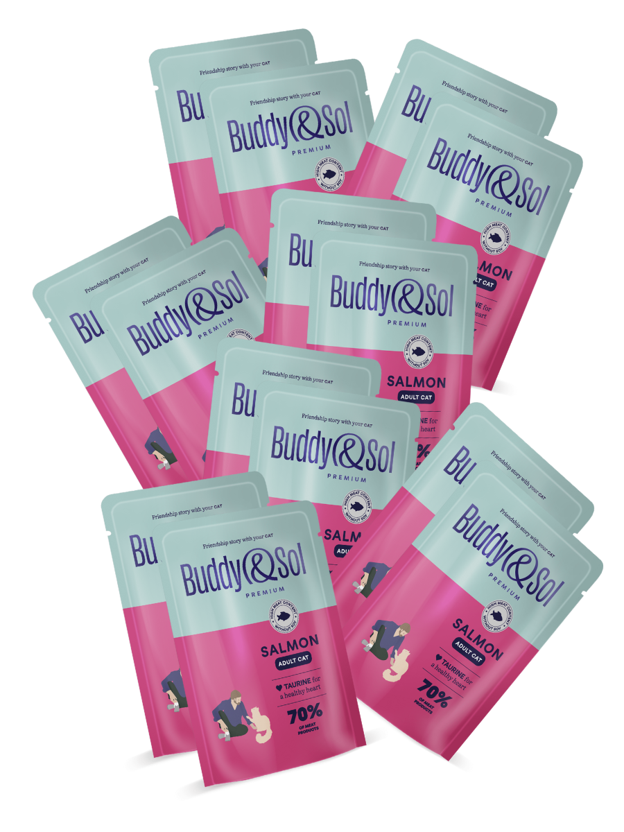 Buddy&Sol Влажный корм для кошек с рыбой в соусе 85г-14 шт