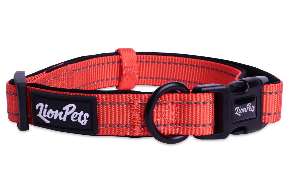 Ошейник для собак LionPets из полиэстера с неопреном и светоотражающими полосками LPO-00510-2 (Обхват 25-40 см, ширина 2,0 см)
