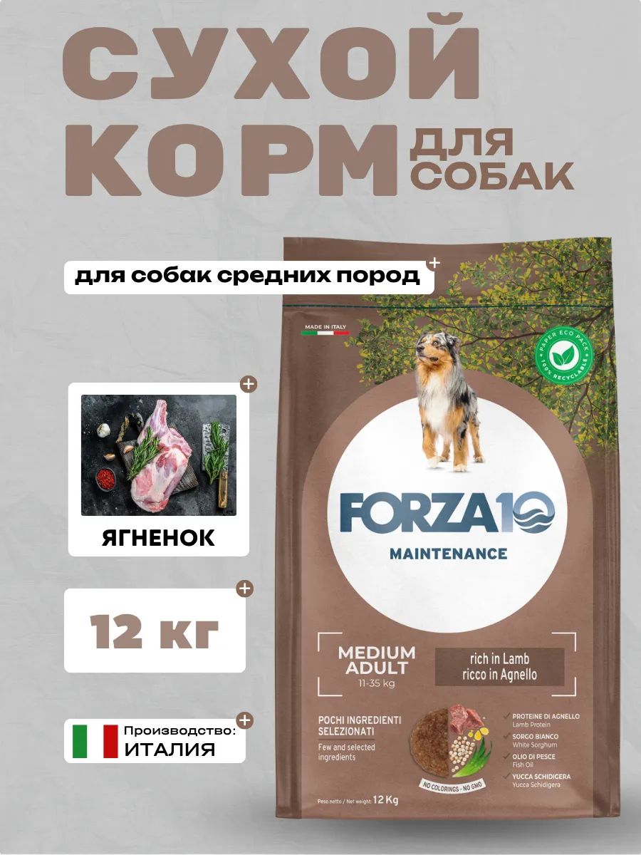 Forza10 Maintenance Medium Adult Сухой корм для собак средних пород с ягненком 12кг 8020245713550