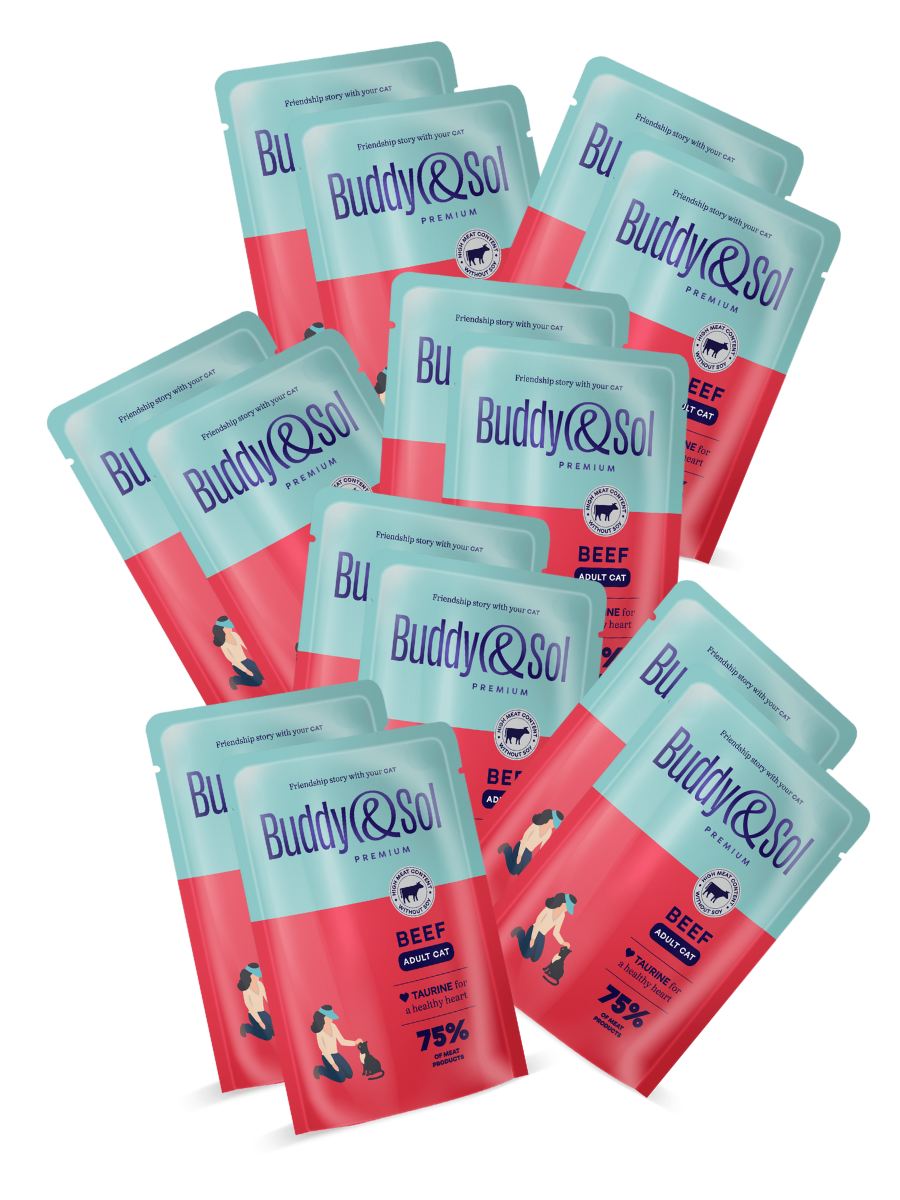 Buddy&Sol Влажный корм для кошек с телятиной в соусе 85г-14 шт