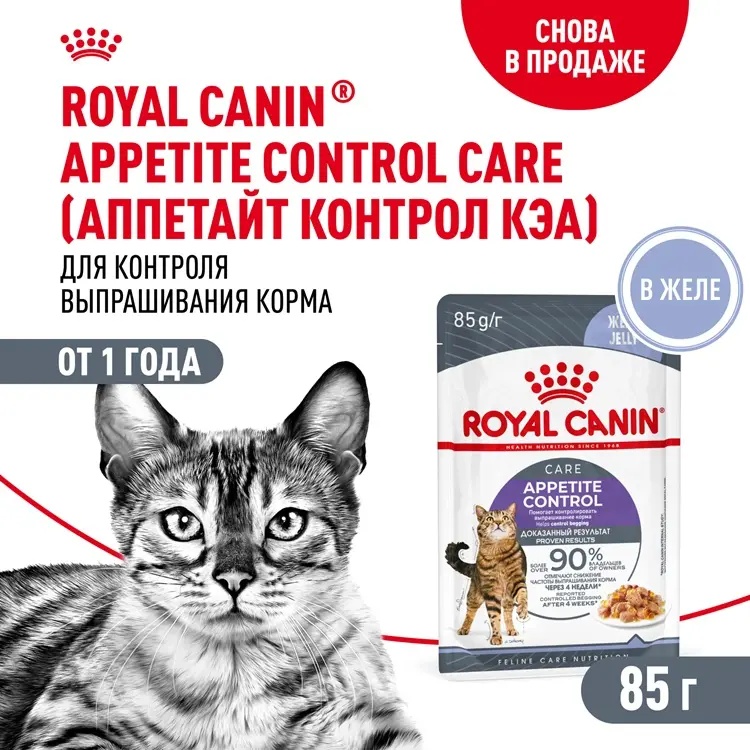 ROYAL CANIN Корм для кошек Appetite Control Care для контроля выпрашивания корма желе 85г