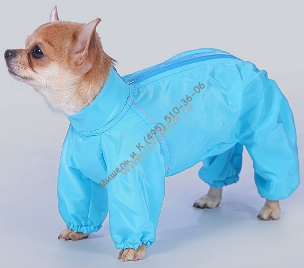 Тузик ош 43 ог 60 от 53 дс 30 рост 34 комбинезон теплый для породы мопс сука 1880