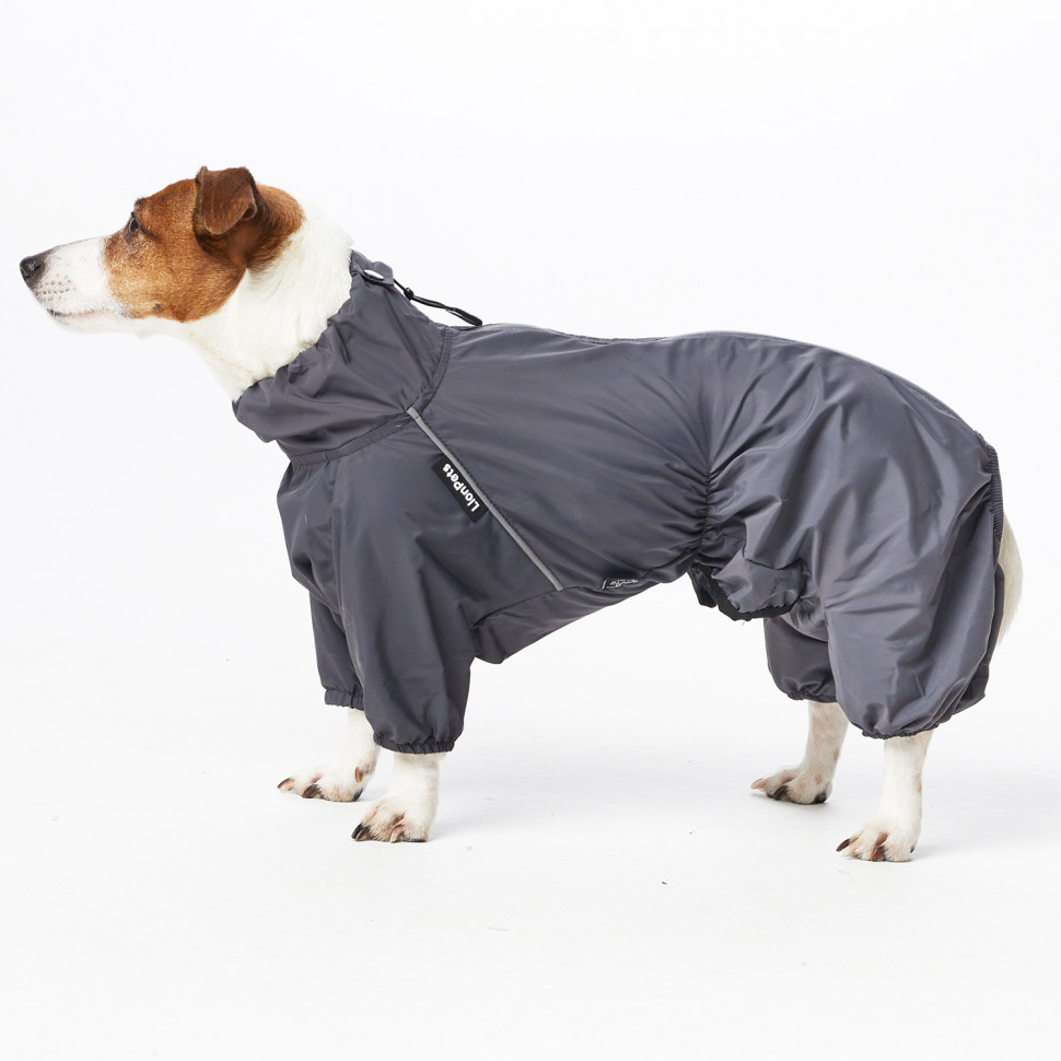 Дождевик LionPets ДЖЕК РАССЕЛ LPK-9225-135 на мальчика Цвет: Серый