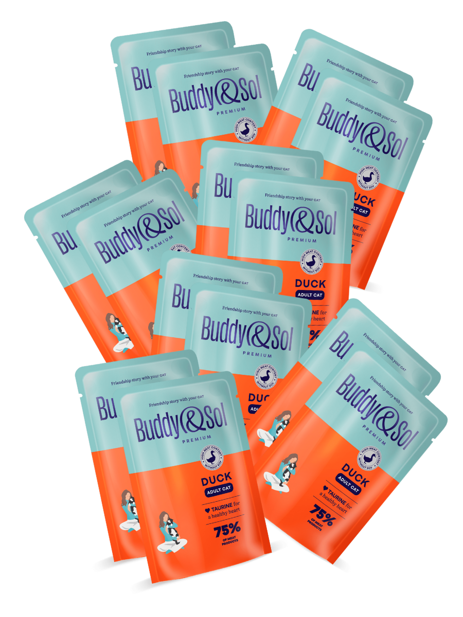 Buddy&Sol Влажный корм для кошек с уткой в соусе 85г-14 шт