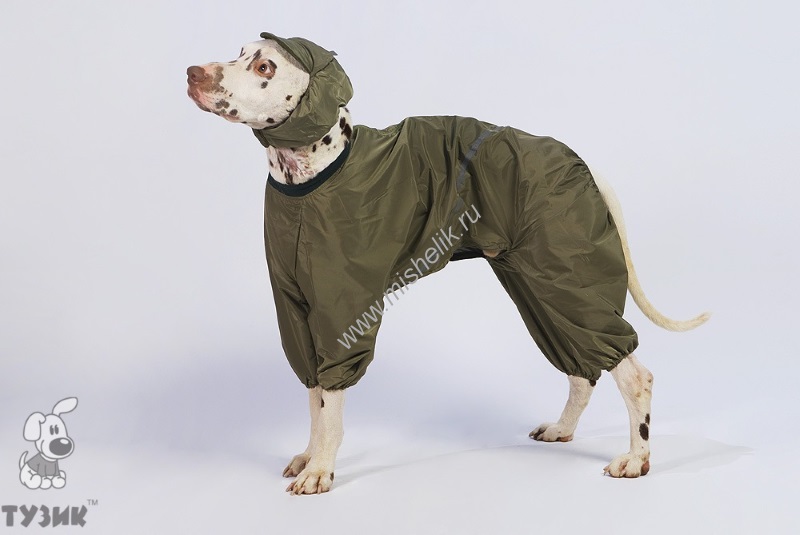 Тузик ош 37 ог 56 от 45 дс 39 рост 45 комбинезон теплый для породы бассенджи кобель 5995