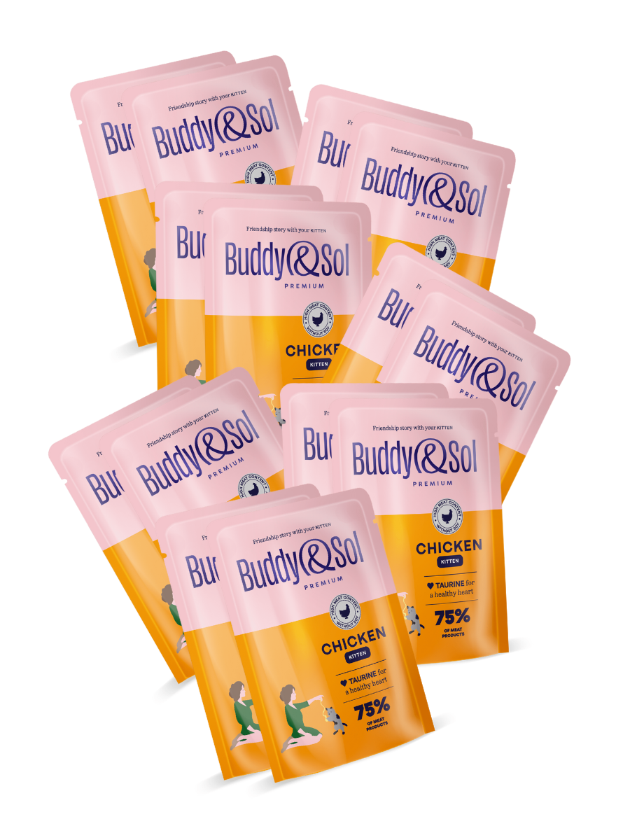 Buddy&Sol Влажный корм для котят с курицей в соусе 85г-14 шт