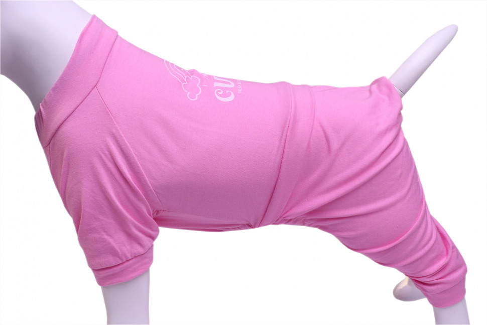 Пыльник для собак LionPets LP2886-93 (Размер S (спинка 21-23 см))