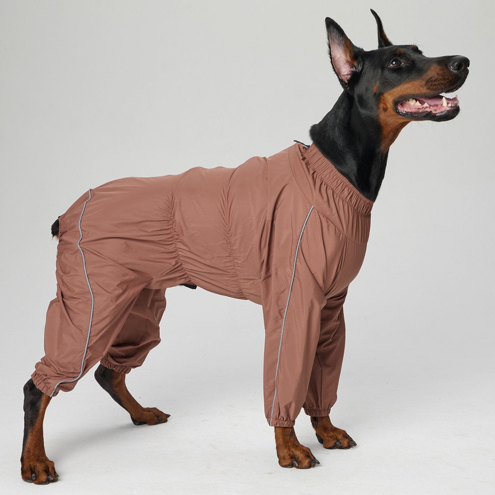 Дождевик LionPets SDK-2550-128 на девочку, цвет: Шоколадный (Размер 1 (спинка 54 см, обхват шеи 32-50 см, обхват груди 44-66 см))