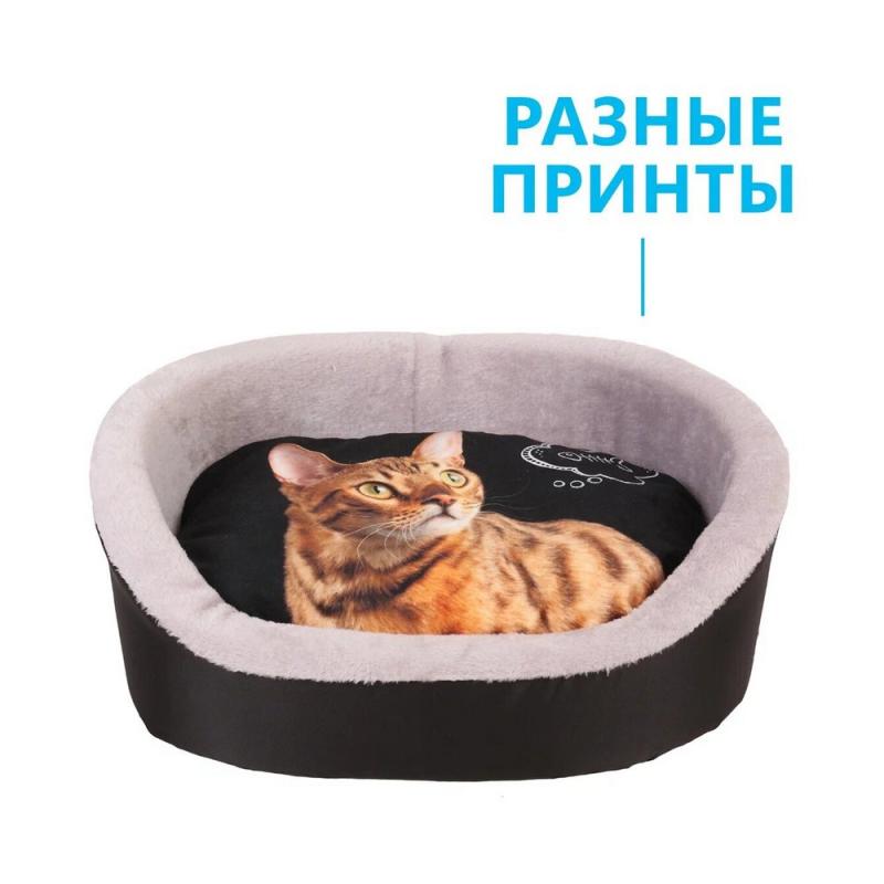 PerseiLine Rich Breed № 4 Лежанка  с кошкой,  принт подушки в ассортименте 53х38х16 см