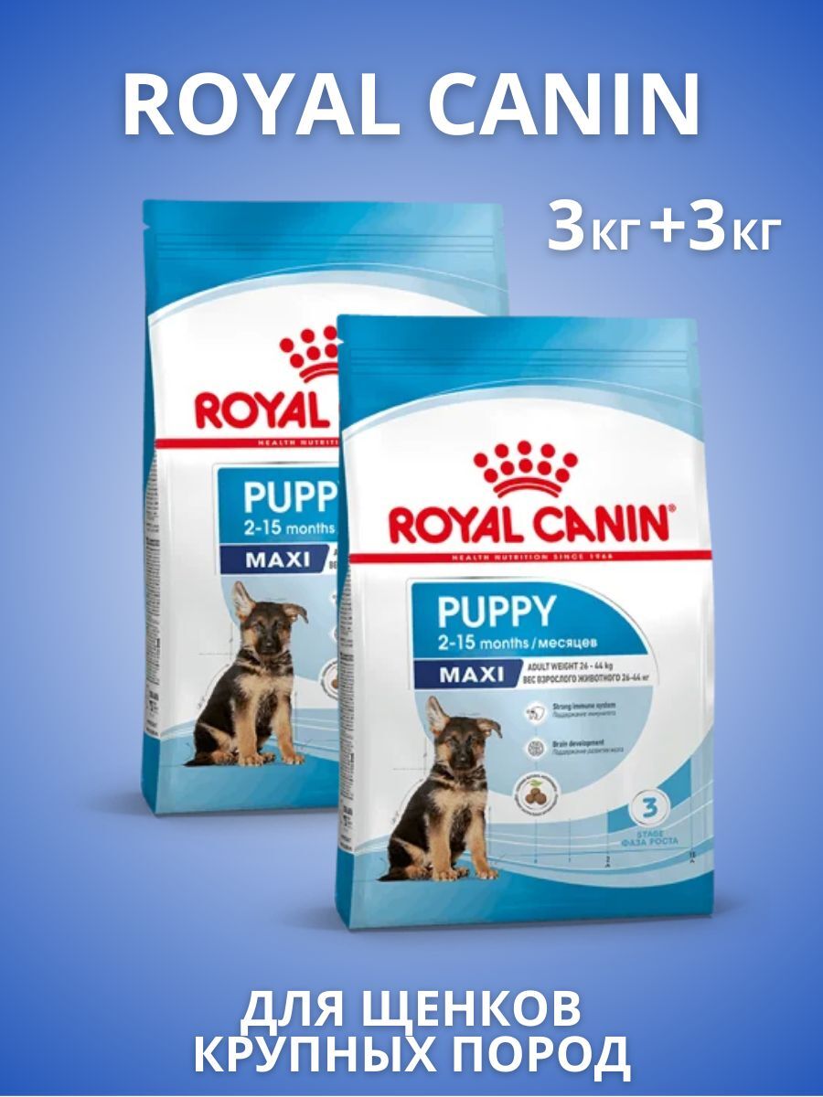ROYAL CANIN Maxi Puppy сухой корм для щенков крупных пород 6кг (3кг+3кг) упаковка