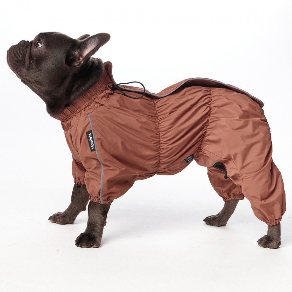 Дождевик LionPets Мопс LPK9325-128 на мальчика Цвет: Шоколадный