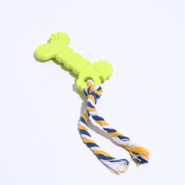 Игрушка термопластичная  Кость с канатом , 19 см