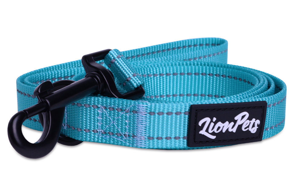 Поводок для собак LionPets из полиэстера со светоотражающими полосками (Бирюзовый) LP-710-4 (Ширина 2.5 см, длина 3 метра)