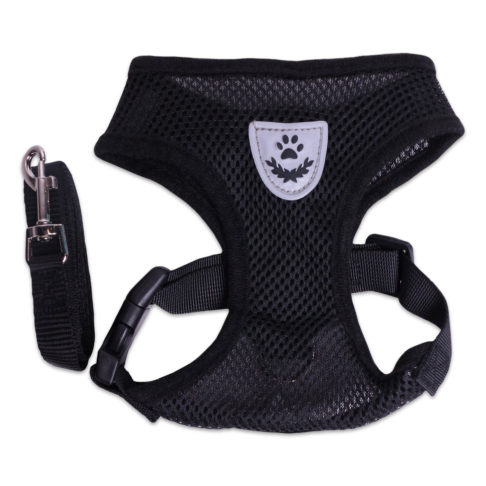 Шлейка с поводком LionPets нейлоновая LP-2301 (Размер L обхват груди 46 см, шея 34 см, поводок 1,2м*1,5 см)