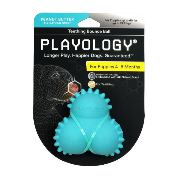 Playology SQUEAKY BOUNCE BALL Жевательный тройной мяч для щенков 4-8 мес. с ароматом арахиса, цвет голубой