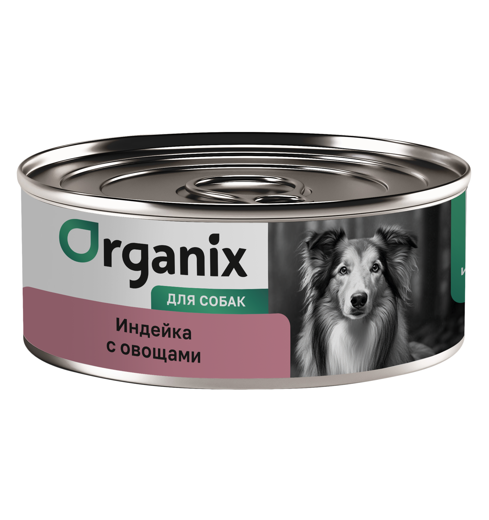 Organix Консервы для собак индейка с овощами 1шт-100гр 4640201674264 4608713236882