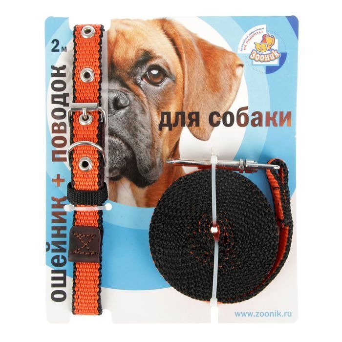 Зооник Комплект поводок 2м + ошейник 33-47см х 20мм на подкладке капроновая лента, на блистере