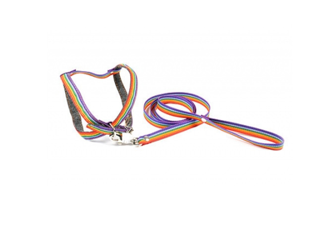 Зоотехнология-М 01010 Комплект "Радуга" поводок+шлейка 25мм