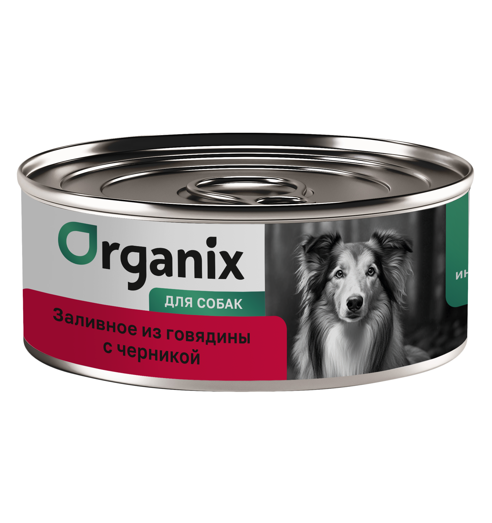 Organix Консервы для собак заливное из говядины 1шт-100гр 4640201674257 4601747396430