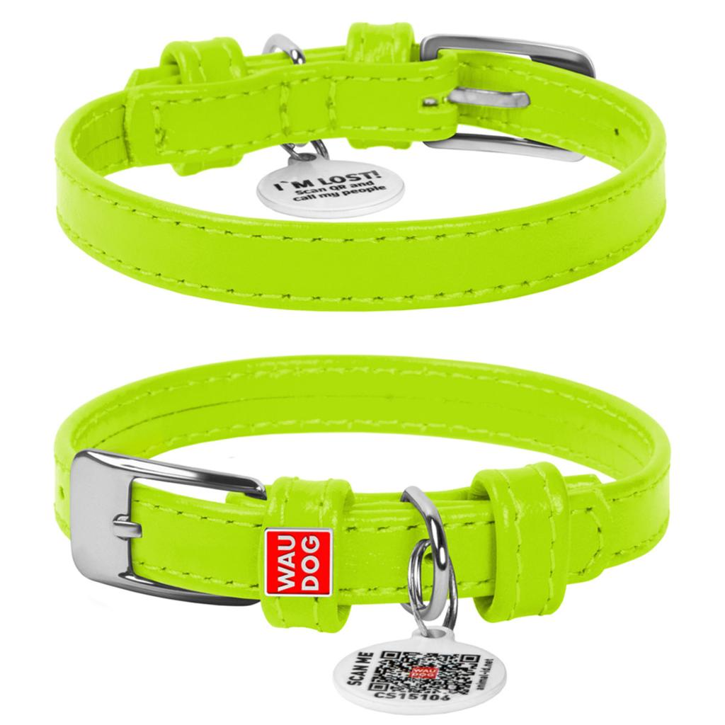 Ошейник для собак WAUDOG Classic, кожаный (M, салатовый, ширина 20мм, длина 30-39см)