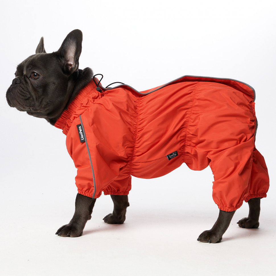 Дождевик LionPets Мопс LPK9325-29 на девочку Цвет: Оранжевый