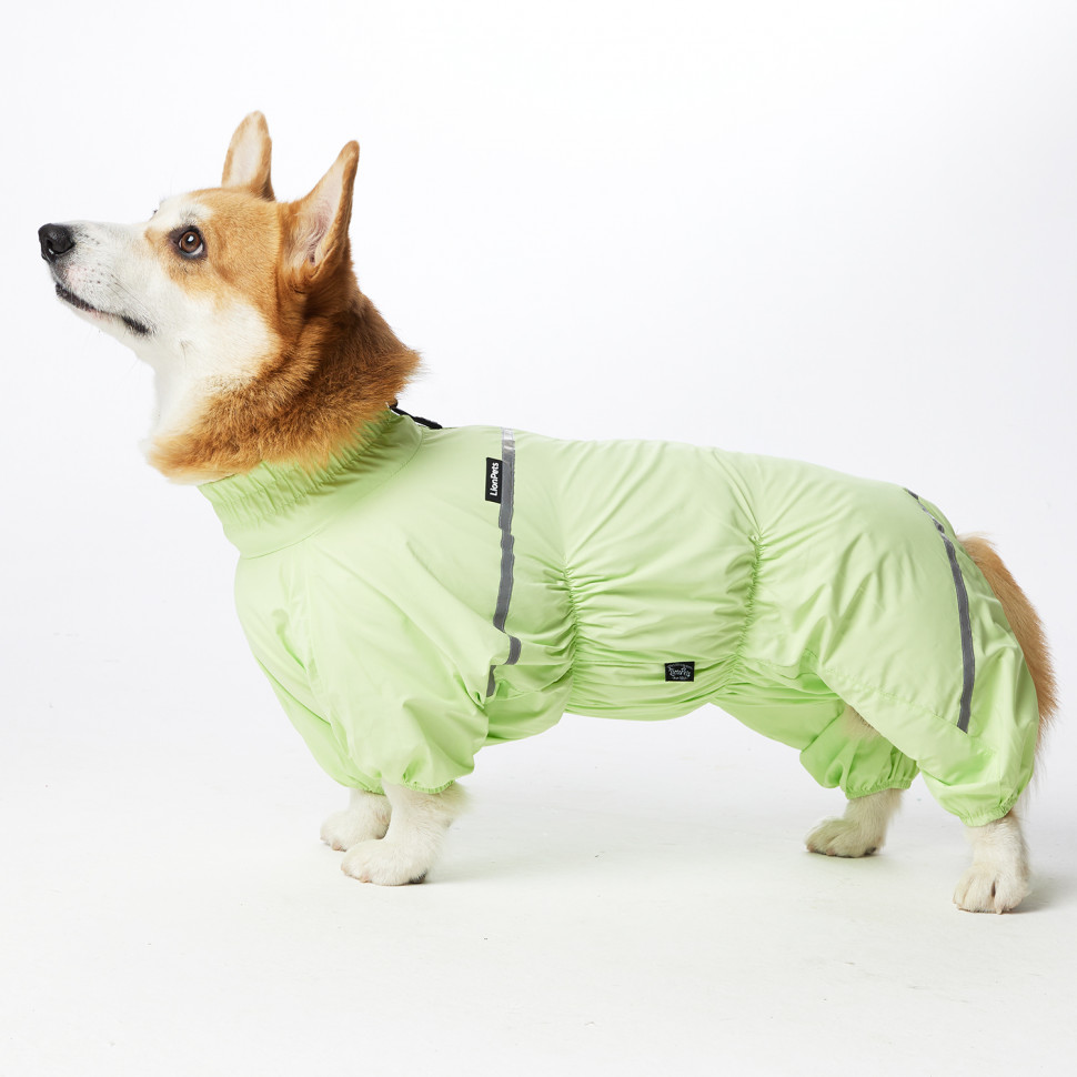 Дождевик LionPets Корги LPK-9125-4 на девочку Цвет: Салатовый (девочка Размер 3 (спинка 53, обхват шеи 40-48, обхват груди 60-82))