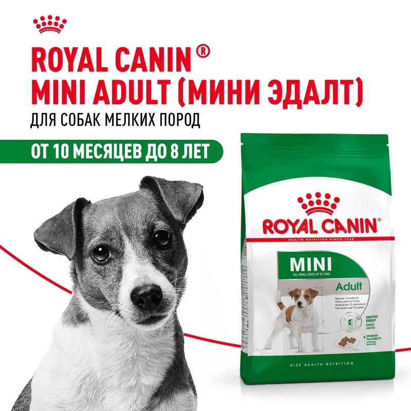 ROYAL CANIN ROYAL CANIN Mini Adult для взрослых собак мелких пород 8 кг 4627109384631