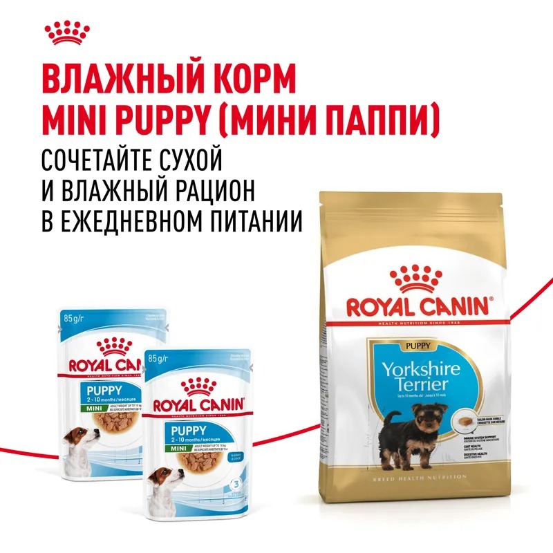 Royal Canin Сухой корм для щенков Yorkshire Terrier Puppy, для Йоркширский Терьер 500 г