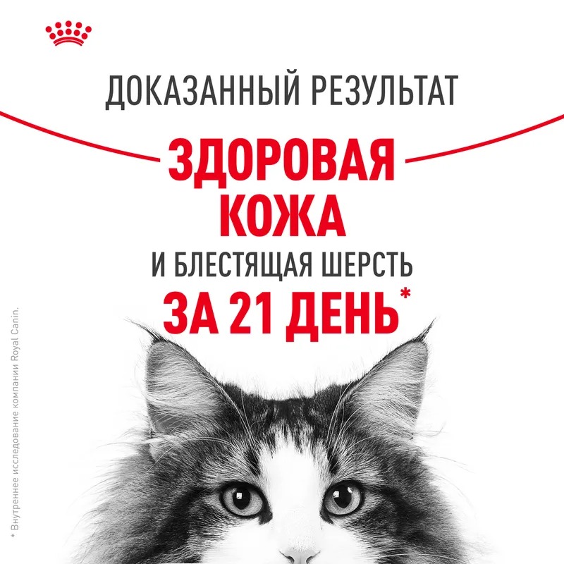 ROYAL CANIN Паучи для кошек "Royal Canin Hair&Skin" (Роял Канин) здоровье кожи и шерсти в желе 1шт-85гр 4627180245166