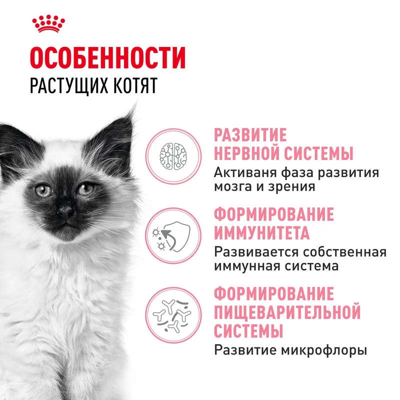 ROYAL CANIN Kitten сухой корм для котят до 12 месяцев 10 кг 4627109380343