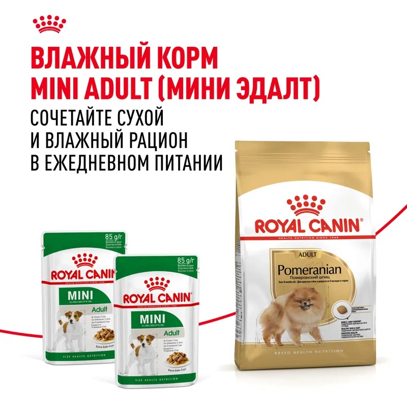 Royal Canin Сухой корм для собак  Pomeranian Adult, для породы Померанский Шпиц 500 г