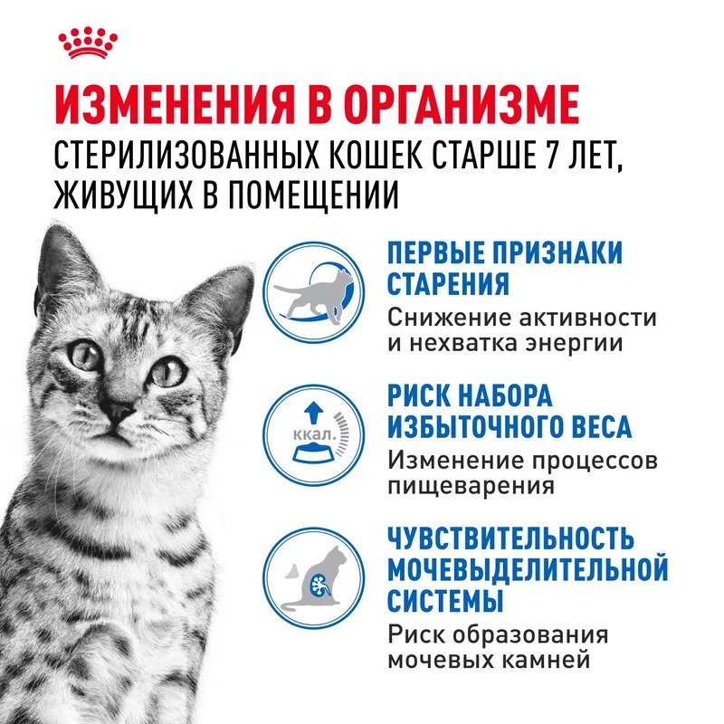 Royal Canin Indoor Sterilised 7+ Влажный корм для кошек живущих в помещении, мелкие кусочки в желе, 85гр