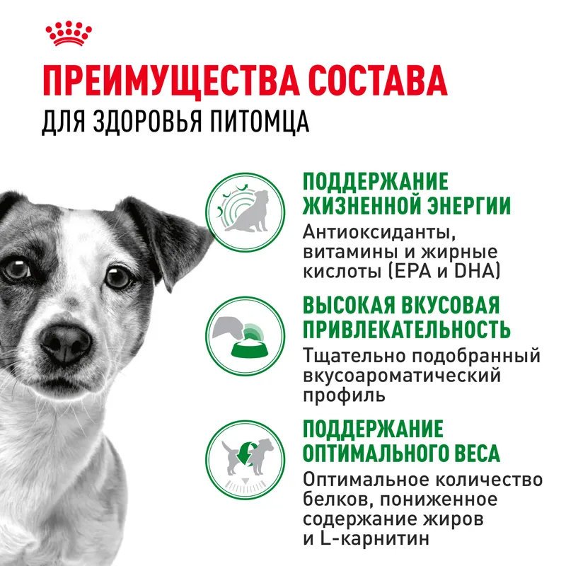 Сухой корм Royal Canin Mini Adult 8+ для стареющих собак мелких пород (весом от 1 до 10 кг) в возрасте от 8 лет 2кг