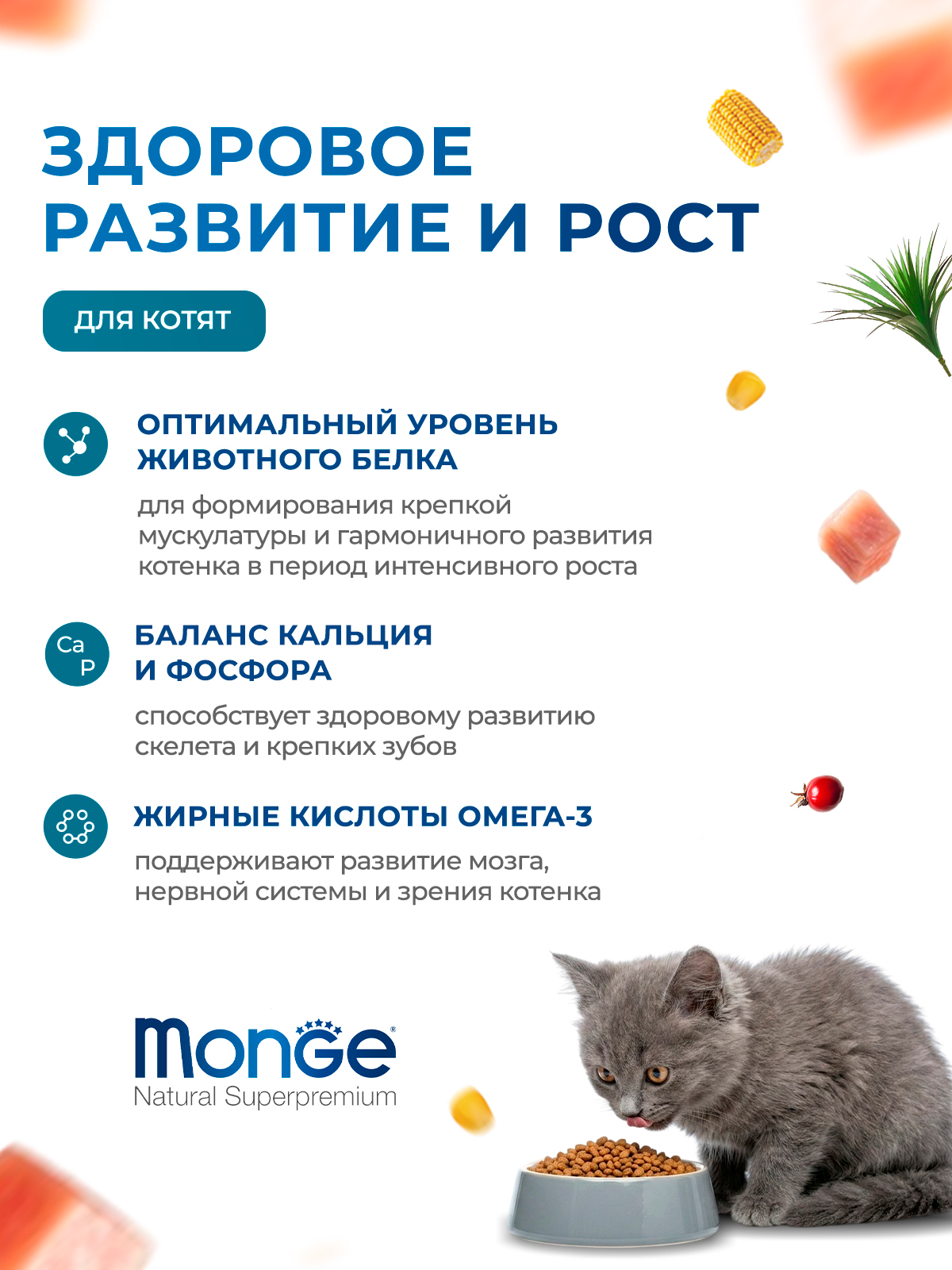Сухой корм Monge Cat Daily Line для котят и беременных кошек, из курицы 400 г