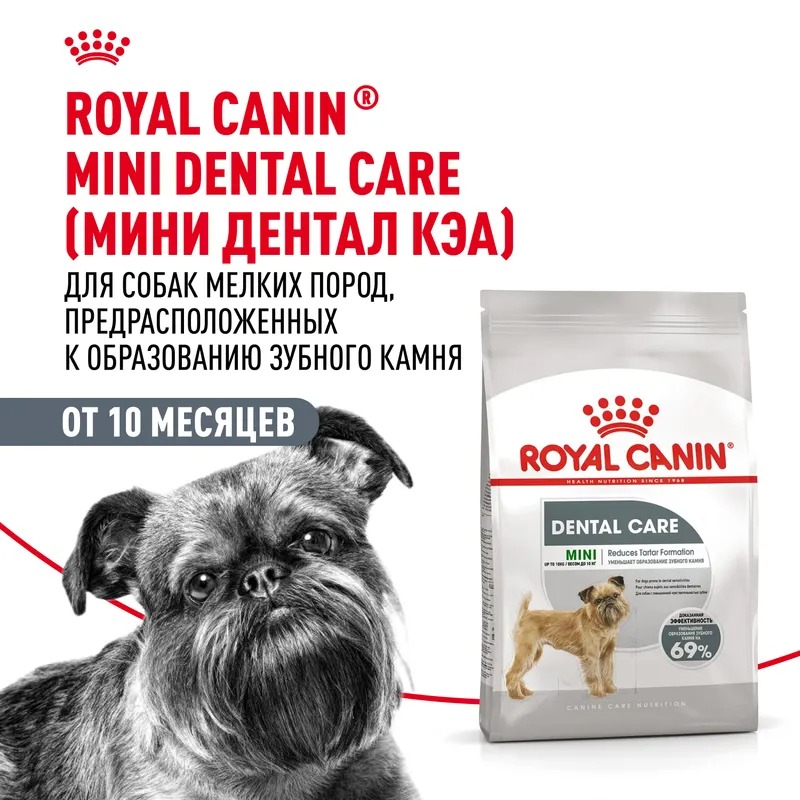 Royal Canin Сухой корм для собак  Mini Dental Care, повышенная чувствительность зубов 3 кг