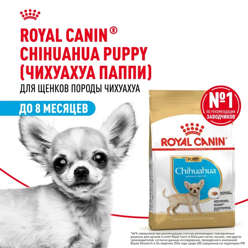 Royal Canin Сухой корм для щенков  Chihuahua Puppy, для породы Чихуахуа 1,5 кг